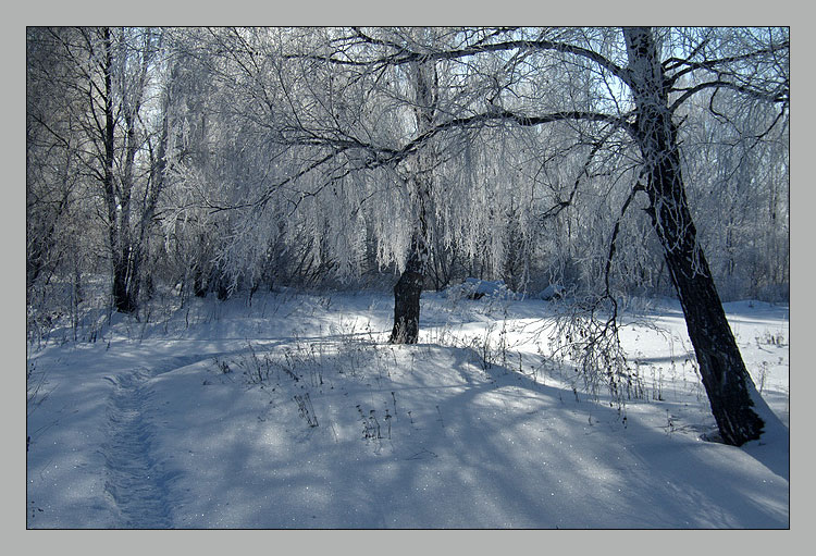 фото "Тропинка" метки: пейзаж, зима