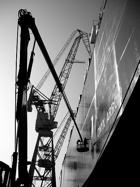 photo "Cranes" tags: misc., 