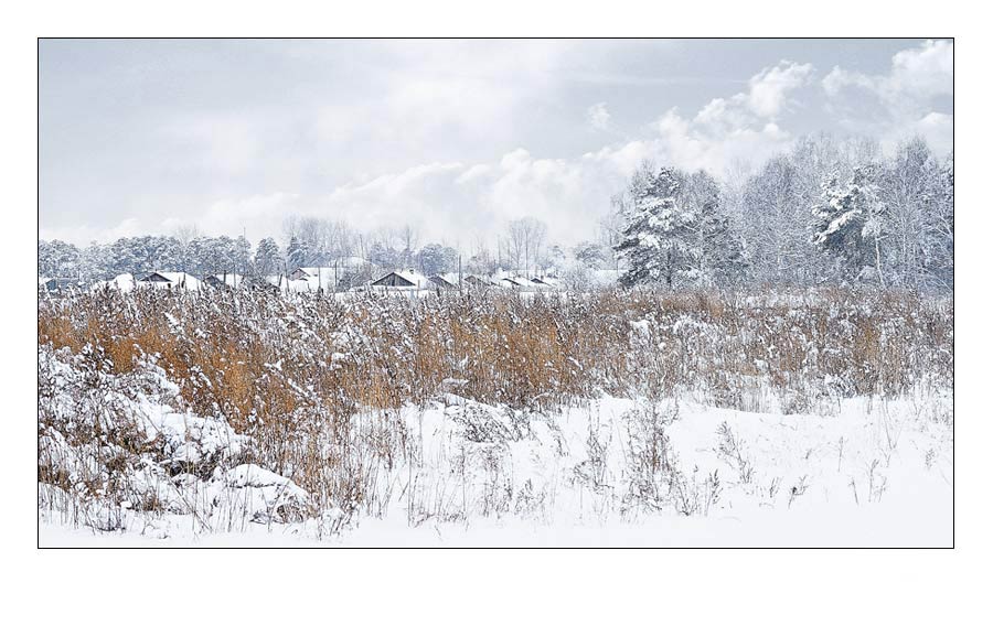 photo "Landscape" tags: landscape, winter