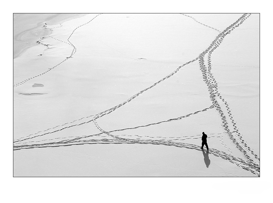photo "Line to lifes" tags: genre, landscape, winter