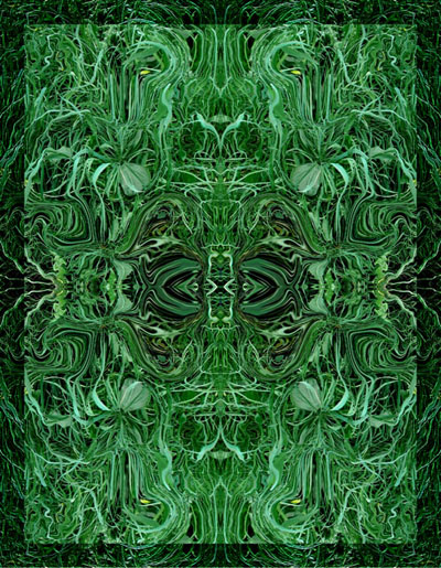 photo "***" tags: montage, 