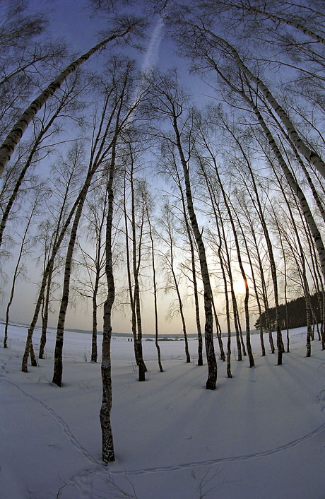 photo "***" tags: landscape, forest, winter