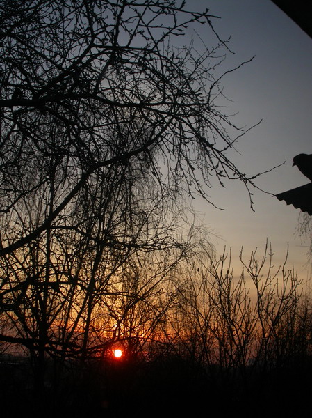 photo "Winter Sunrise." tags: nature, 