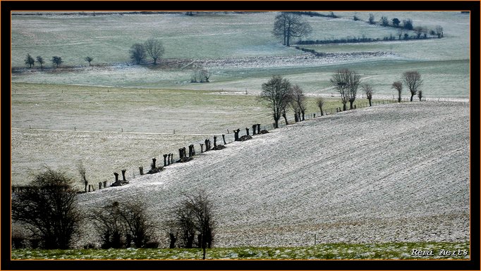 фото "like Pieter Breugel paint" метки: пейзаж, зима