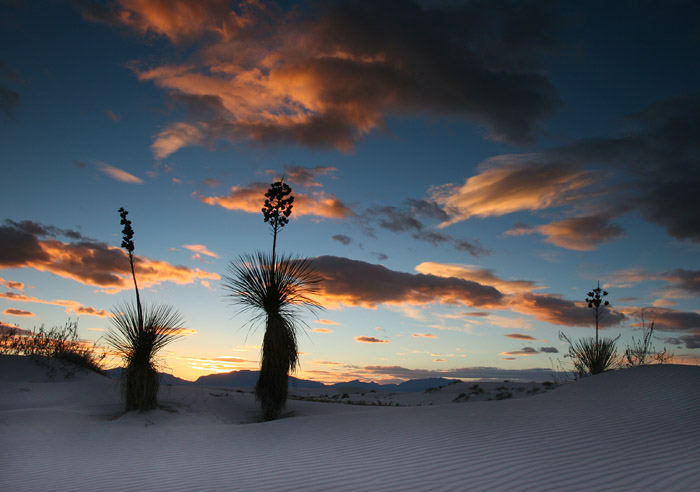 photo "Desert Silhouettes" tags: landscape, travel, North America, sunset