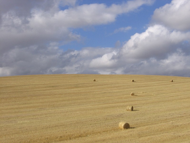 photo "***" tags: landscape, summer