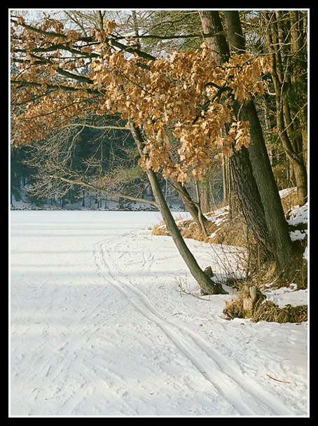 фото "#" метки: пейзаж, зима