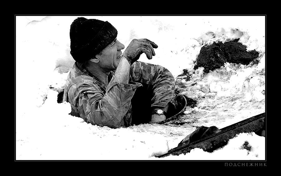 фото "подснежник" метки: жанр, 