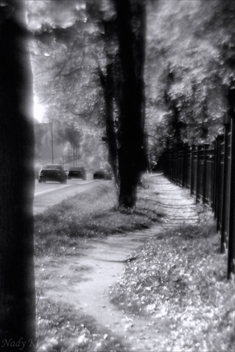 photo "Roads of autumn..." tags: landscape, autumn