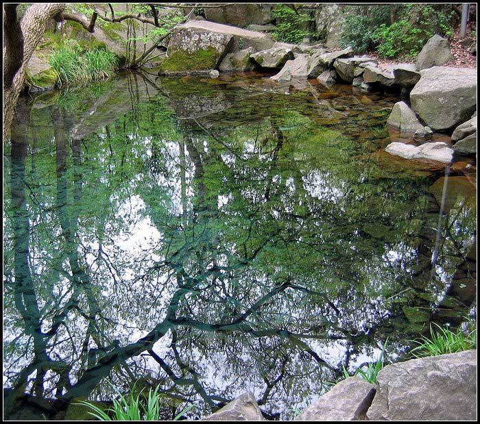 photo "Pond in Vorontsovsky park." tags: landscape, travel, Europe, water