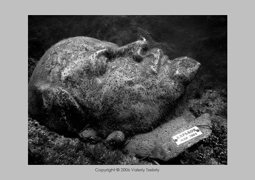photo "Cold silence" tags: underwater, black&white, 
