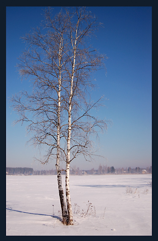 photo "***" tags: landscape, winter