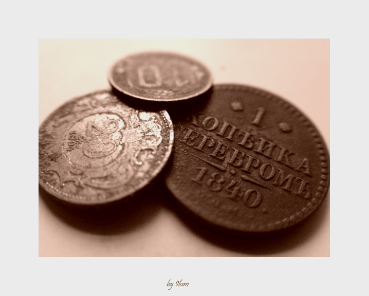 photo "Old Money" tags: macro and close-up, 
