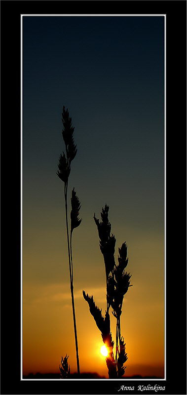 photo "***" tags: landscape, autumn