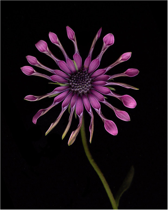 фото "***" метки: , 