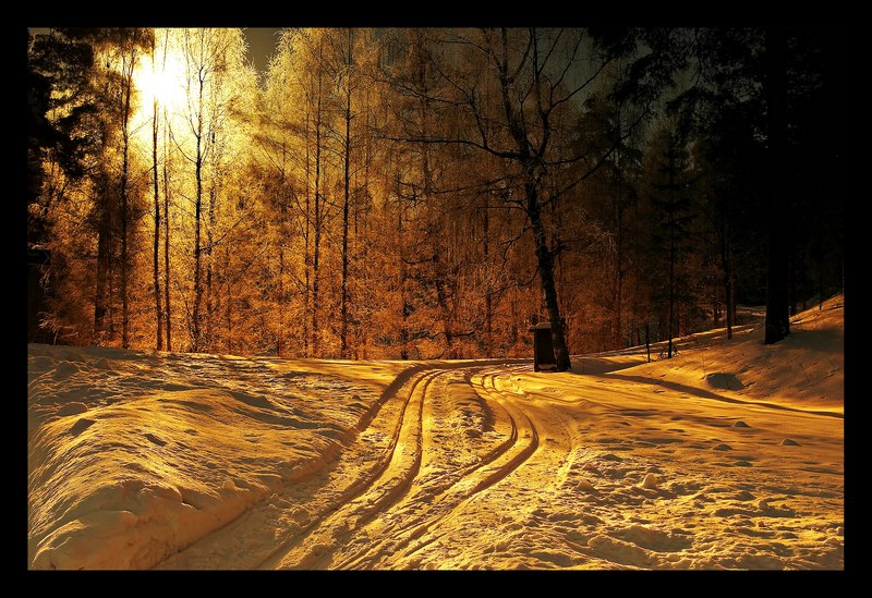 фото "Wanna ski?" метки: пейзаж, зима