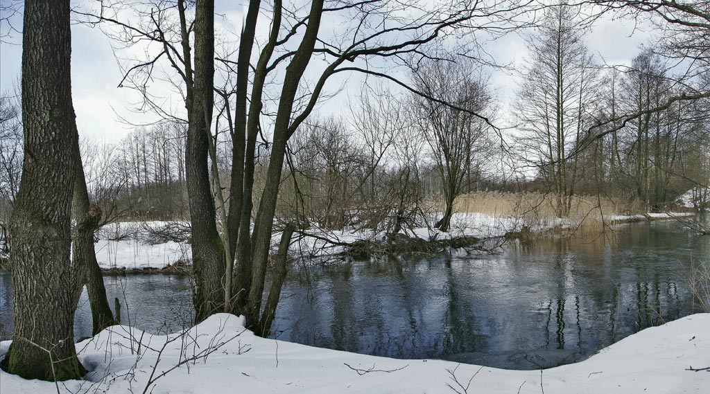 photo "March. The river" tags: panoramic, landscape, water