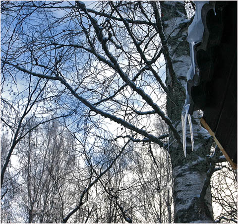 фото "Весенняя" метки: пейзаж, весна