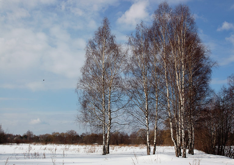 photo "***" tags: landscape, spring