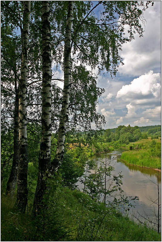 фото "Река Нерль" метки: пейзаж, вода, лес