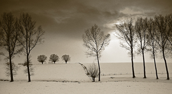 photo "En Brabant" tags: landscape, winter