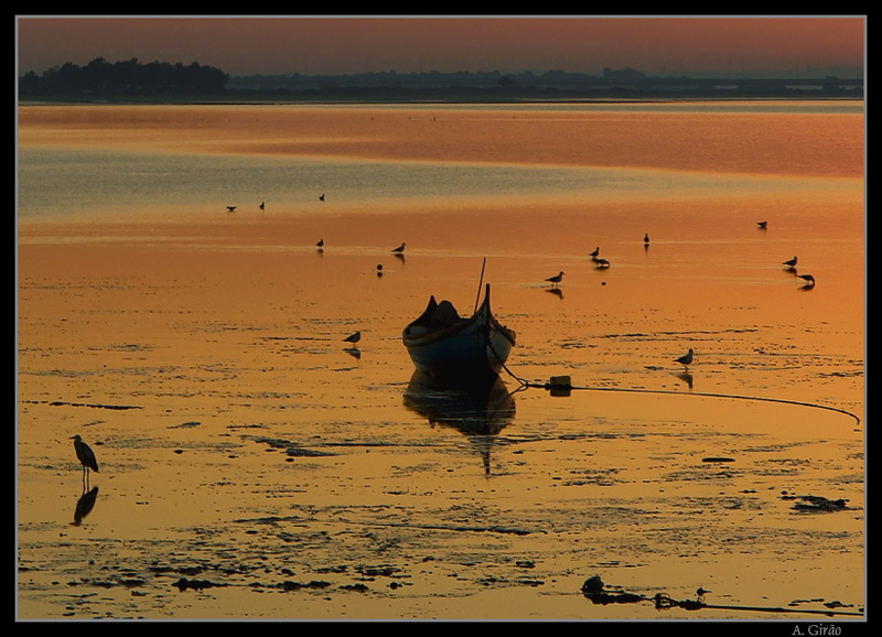 photo "Golden view" tags: landscape, sunset, water