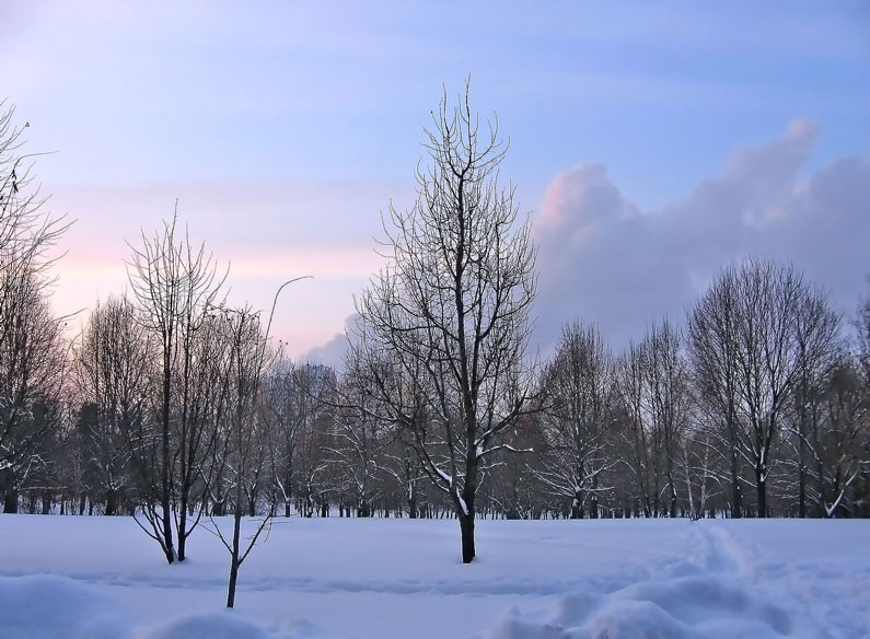 photo "***" tags: landscape, winter