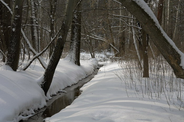 photo "***" tags: landscape, winter