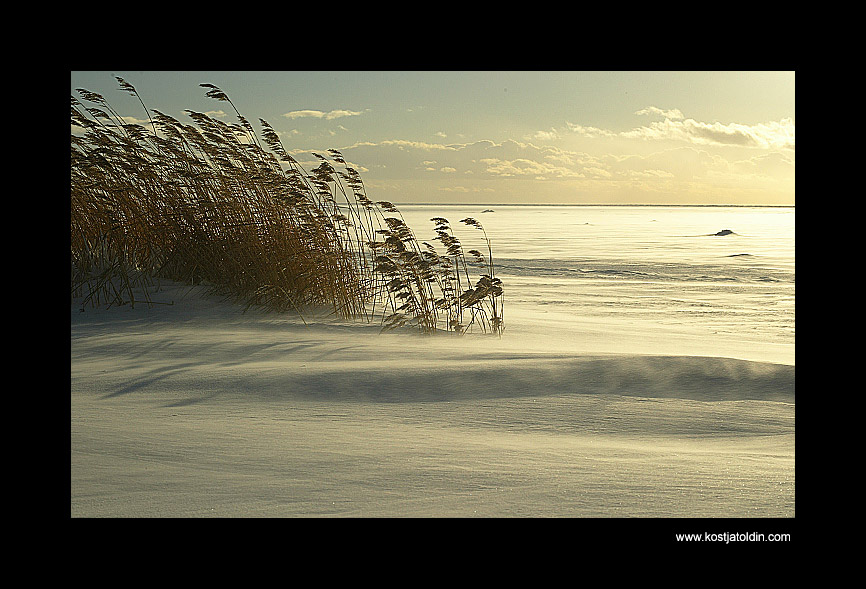 photo "..." tags: landscape, winter