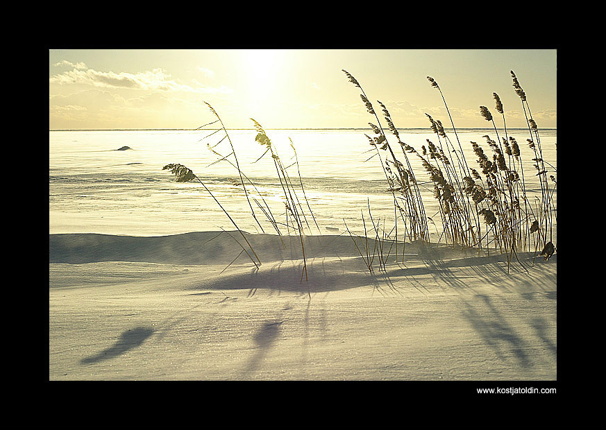 фото "..." метки: пейзаж, зима