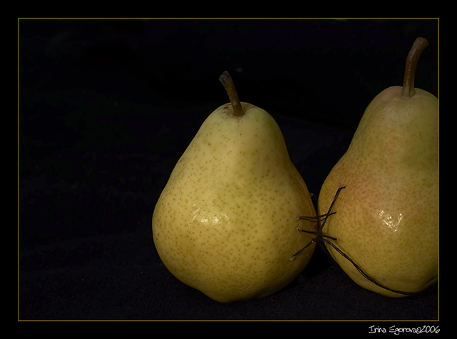 photo "Still-life. Tied by one ... thread." tags: still life, nature, 