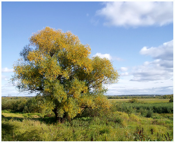 photo "The early autumn" tags: landscape, autumn