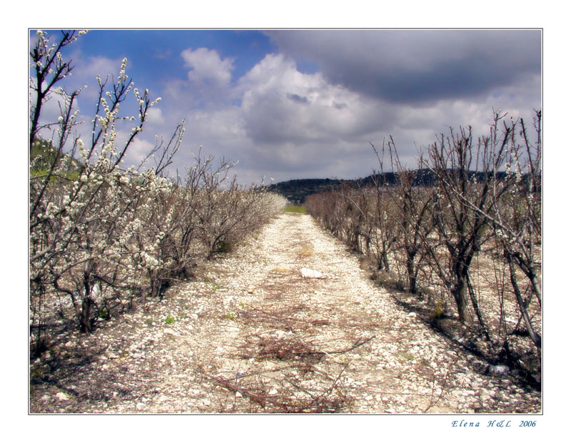 photo "Way into spring" tags: landscape, spring