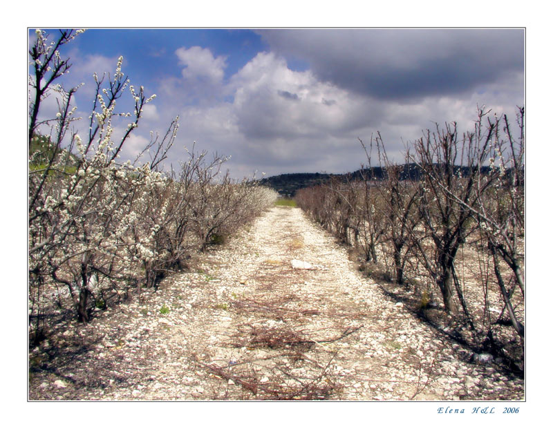 photo "Way into spring" tags: landscape, spring