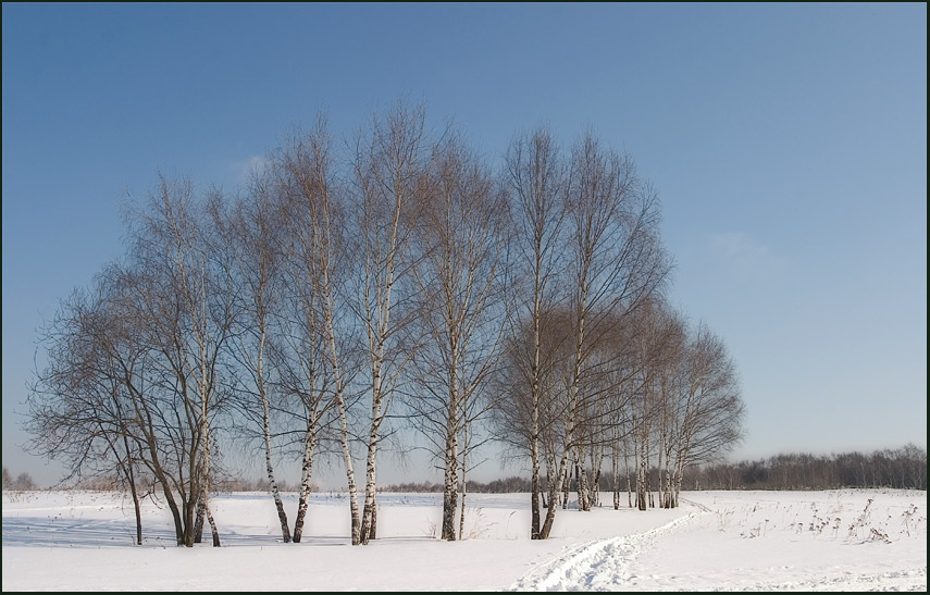 photo "***" tags: landscape, spring, winter