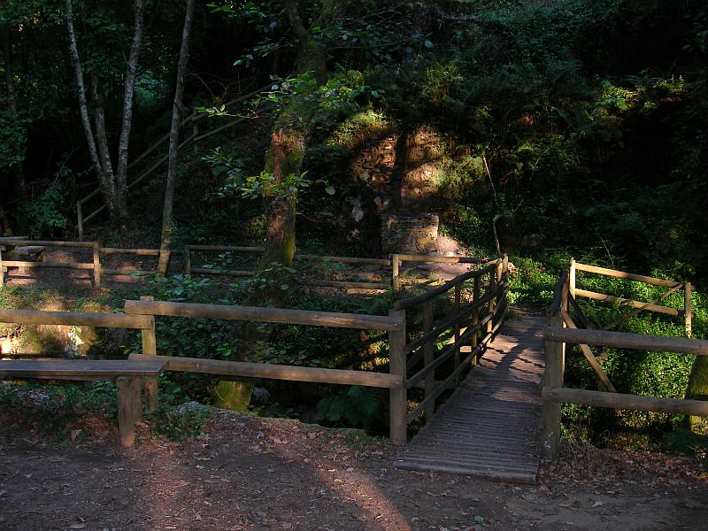 photo "Secret place" tags: landscape, nature, forest