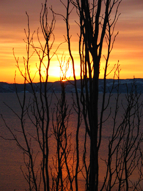 photo "Setting Winter Sun" tags: landscape, sunset