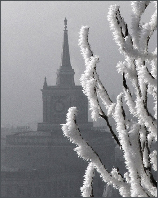 фото "Декабрьский вокзал" метки: пейзаж, черно-белые, зима