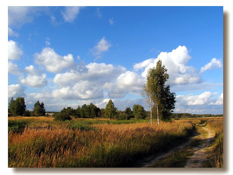 photo "***" tags: landscape, autumn