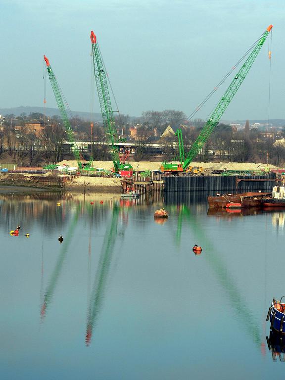 фото "Crane reflections" метки: пейзаж, весна, вода