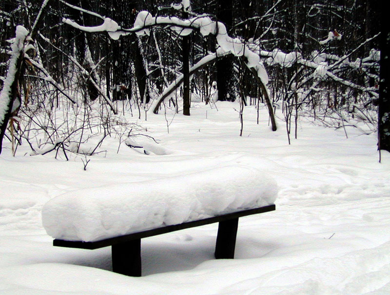 фото "Томительное ожидание" метки: пейзаж, зима
