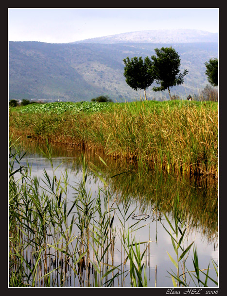 photo "Silence of Galileya" tags: landscape, water