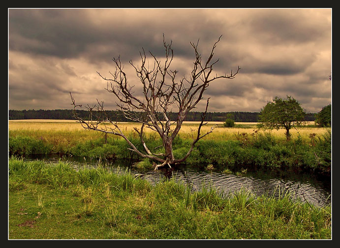 photo "Preceding a storm" tags: landscape, clouds, water