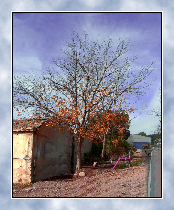 photo "***" tags: landscape, autumn