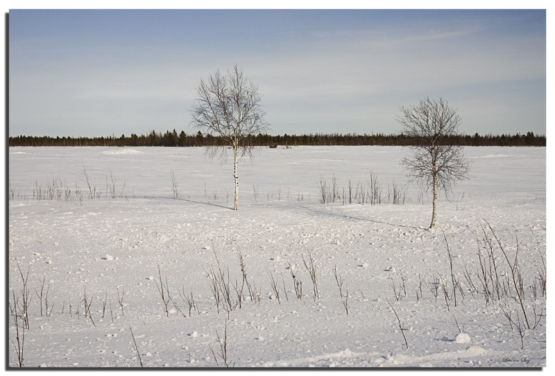 photo "***" tags: landscape, winter