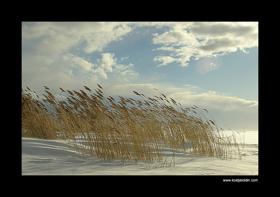 photo "..." tags: landscape, winter