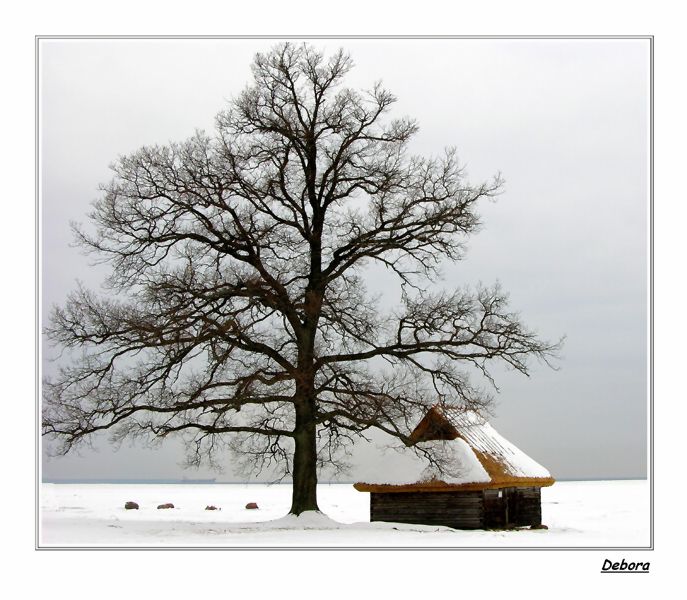 фото "Домик без деревни." метки: пейзаж, зима