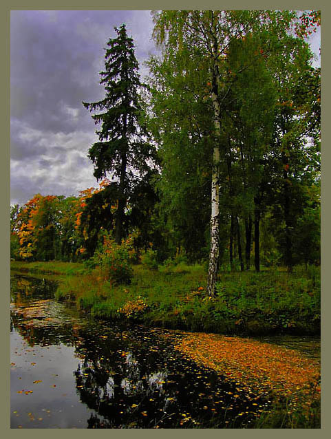 фото "Осеннее настроение" метки: пейзаж, лес, осень