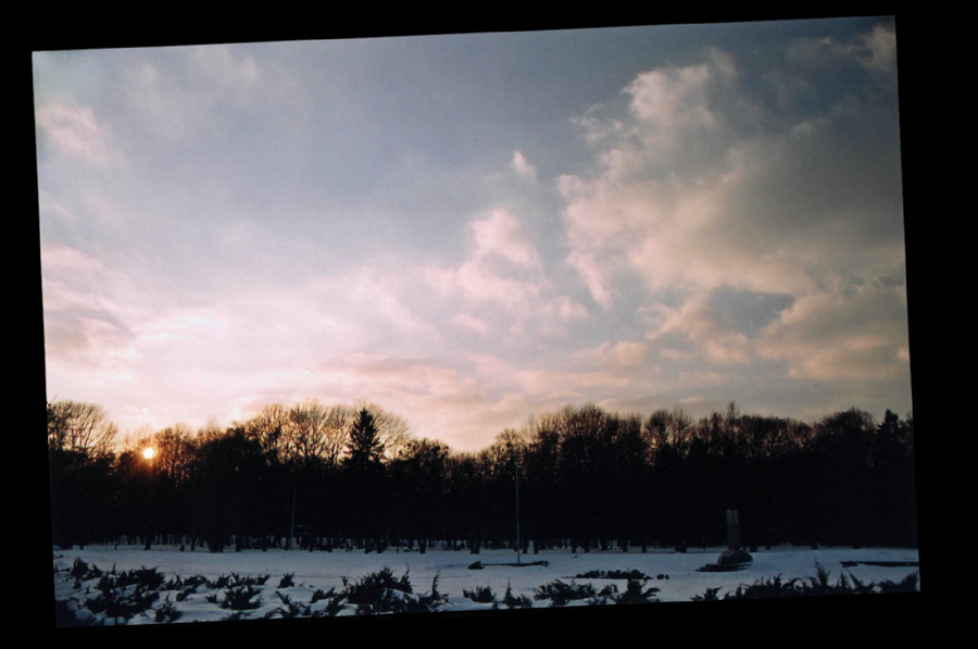photo "sunset in Stryjskyj Park" tags: landscape, sunset