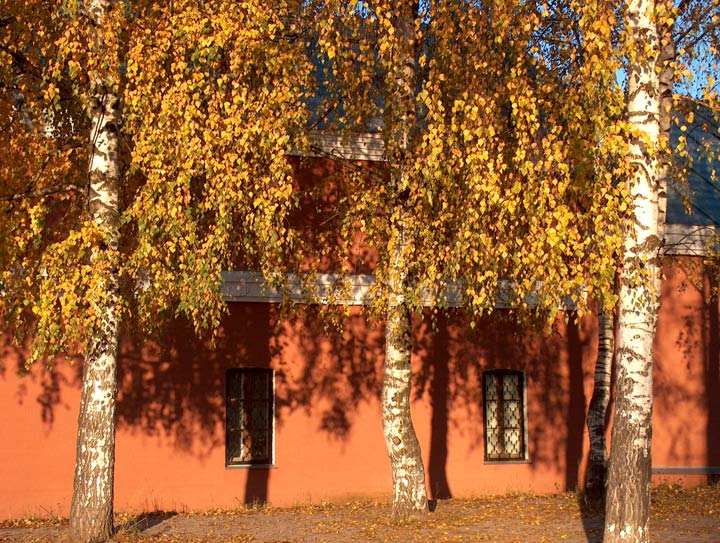 фото "Стена, деревья, тени - теплые тона" метки: архитектура, пейзаж, осень